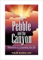 The Pebble and the Canyon: Reflections on Composing Your Life