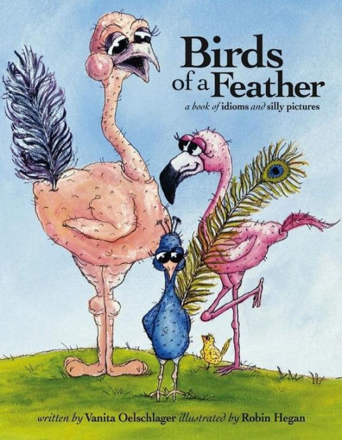 Birds of a Feather : A Book of Idioms and Silly Pictures by Vanita