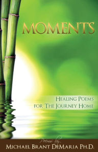 Title: Moments, Author: Michael Brant DeMaria