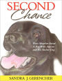 Second Chance