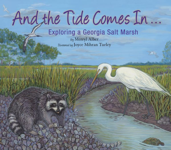 And the Tide Comes In...: Exploring a Georgia Salt Marsh