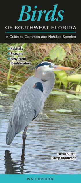 Birds of Southwest Florida: A Guide to Common and Notable Species by