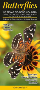 Butterflies of Texas Big Bend Country including Big Bend National Park and Davis Mountains: A Guide to Common and Notable Species