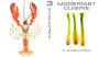 Alternative view 8 of Modernist Cuisine: The Art and Science of Cooking