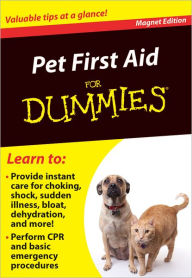 Pet First Aid for Dummies: Valuable Tips at a Glance!