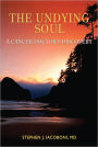 The Undying Soul: A Cancer Doctor's Discovery