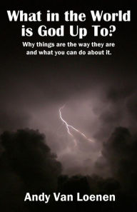 What in the World Is God Up To?: Why Things Are the Way They Are and What You Can Do about It.