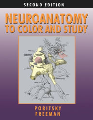 Title: Neuroanatomy To Color And Study, Author: Ray Poritsky