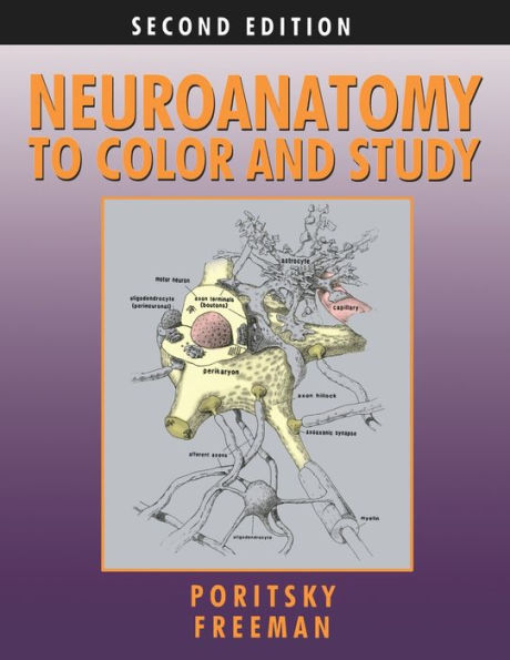 Neuroanatomy To Color And Study