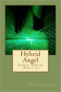 Hybrid Angel: Serial Novel