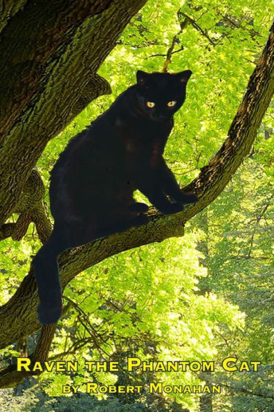 Raven The Phantom Cat