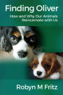 Finding Oliver: How and Why Our Animals Reincarnate With Us