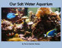 Our Salt Water Aquarium