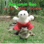 Benjamin Boo and the Cranky Crocodile