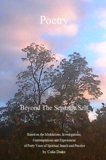 poetry-from-beyond-the-separate-self-by-colin-drake-paperback-barnes