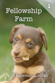 Title: Fellowship Farm 1: Books 1-3, Author: Melanie Lotfali Dr