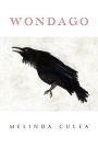 Wondago: An Illustrated Mystery Novel