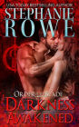 Darkness Awakened (Order of the Blade #1)