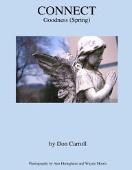 Title: Connect: Goodness (Spring), Author: Ann Ehringhaus