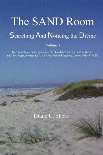 The SAND Room Vol. 1: Searching And Noticing the Divine