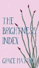 The Brightness Index