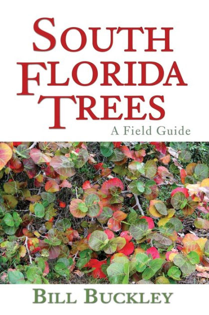 south florida trees a field guide by bill buckley south florida trees a field guide by bill buckley