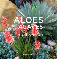 Title: Aloes & Agaves in Cultivation, Author: Jeff Moore