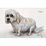 Alternative view 6 of Pets and Their People: A Portrait Collection of Curious Companions