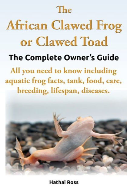 The African Clawed Frog Or Clawed Toad The Complete Owners Guide All