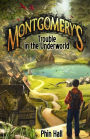 Montgomery's Trouble in the Underworld