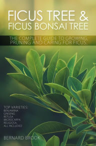 Title: Ficus Tree and Ficus Bonsai Tree. The Complete Guide to Growing, Pruning and Caring for Ficus. Top Varieties: Benjamina, Ginseng, Retusa, Microcarpa, Religiosa all included., Author: Bernard Brook