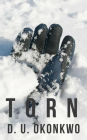 Torn (The Salzburg Saga Book 2)