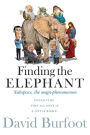 Finding the Elephant: Subspace, the Mega-phenomenon