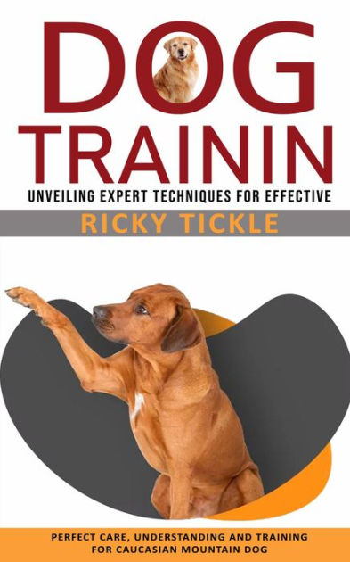 Dog Training: Unveiling Expert Techniques for Effective (Perfect