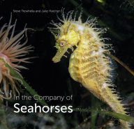 Title: In the Company of Seahorses, Author: Steve Trewhella