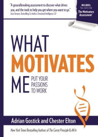 Title: What Motivates Me: Put Your Passions to Work, Author: Adrian Gostick