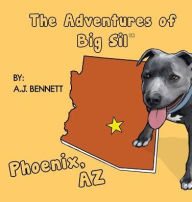 Title: The Adventures of Big Sil Phoenix: Children's Book, Author: A J Bennett