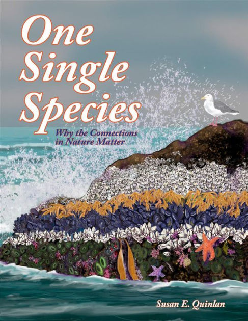 Quinlan,　Matter　Barnes　Nature　Susan　Single　Paperback　Why　in　E.　the　by　One　Noble®　Species:　Connections