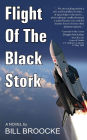Flight of the Black Stork
