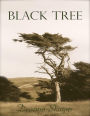 Black Tree