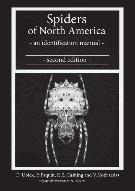 Spiders of North America - North American Insects & Spiders