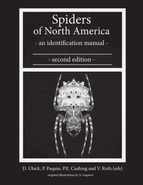 Die Spinnen Amerikas. Spiders; Spiders. Tab. II.. JKÄ^ b. Please note that  these images are extracted from scanned page images that may have been  digitally enhanced for readability - coloration and