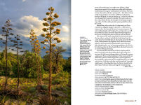 Alternative view 4 of Arizona Guidebook Part Two