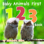 Baby Animals First 123 Book