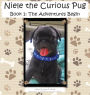 Niele the Curious Pug: Book 1 - The Adventures Begin