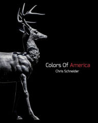 Title: Colors Of America: Photography Zine, Author: Chris Schneider