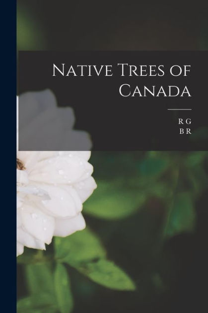 Native Trees of Canada by B R. b. 1885 Morton, R G. b. 1885 Lewis