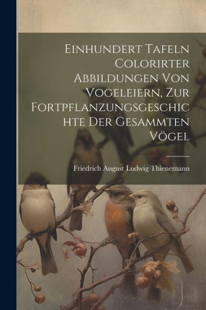 Einhundert Tafeln colorirter Abbildungen von Vogeleiern, zur