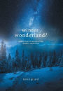 Winter Wonderland?: Poetic Form in Service of the Modern Experience