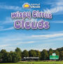Wispy Cirrus Clouds